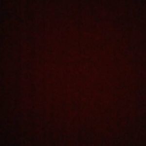 Meet your Posher, Miekayla